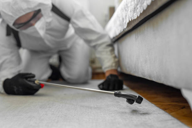 Professional Emergency Pest Control technician working in Wood Dale, IL
