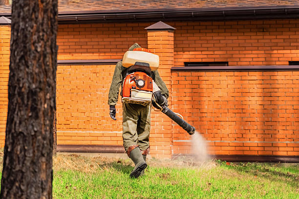 Trusted Fumigation Services service in Wood Dale, IL - Nex Pest Control